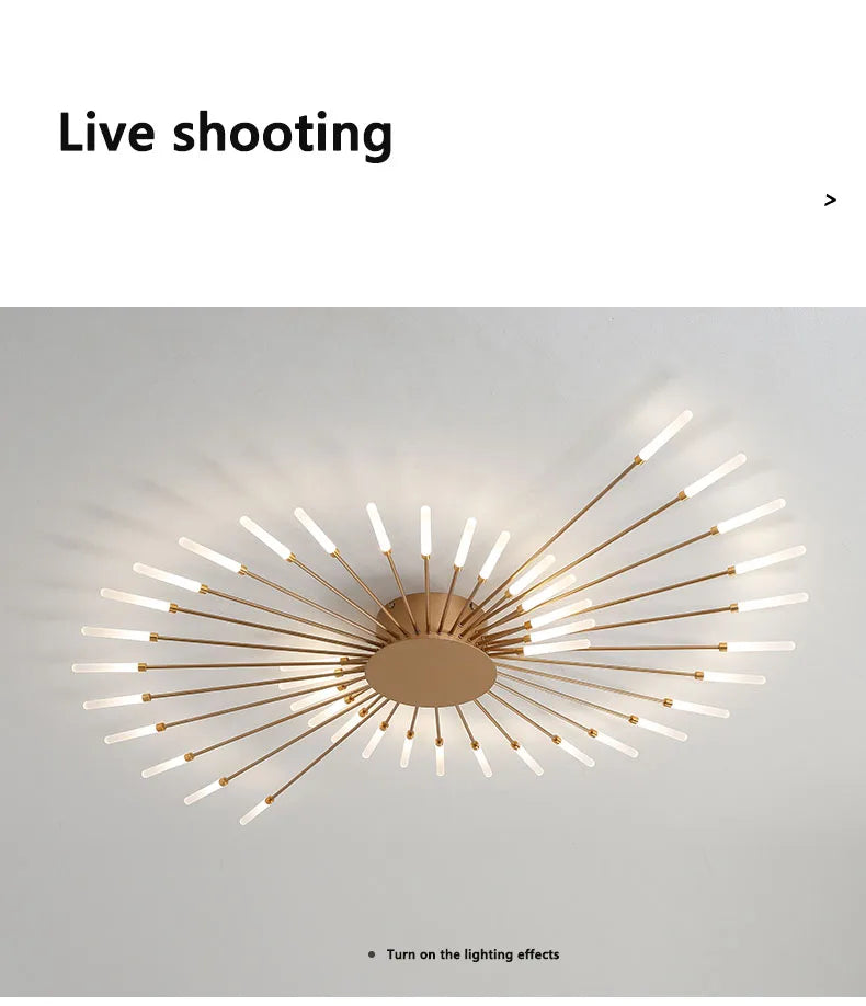 Bedroom Ceiling Light Fixtures Modern LED Ceiling Chandelier Light for Living Room Nordic Firework Dining Room Hall Ceiling Lamp