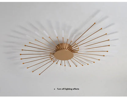 Bedroom Ceiling Light Fixtures Modern LED Ceiling Chandelier Light for Living Room Nordic Firework Dining Room Hall Ceiling Lamp